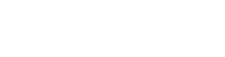 Шприц 35 мл с наконечником под катетер