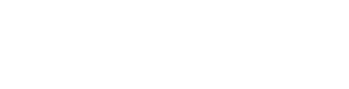 Шприц 35 мл с наконечником под катетер